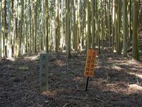 Ayukawa9.jpg