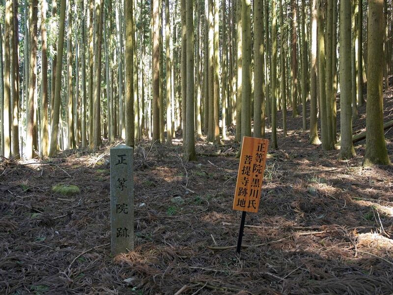 File:Ayukawa9.jpg