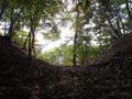 Thumbnail for version as of 20:44, 18 May 2024