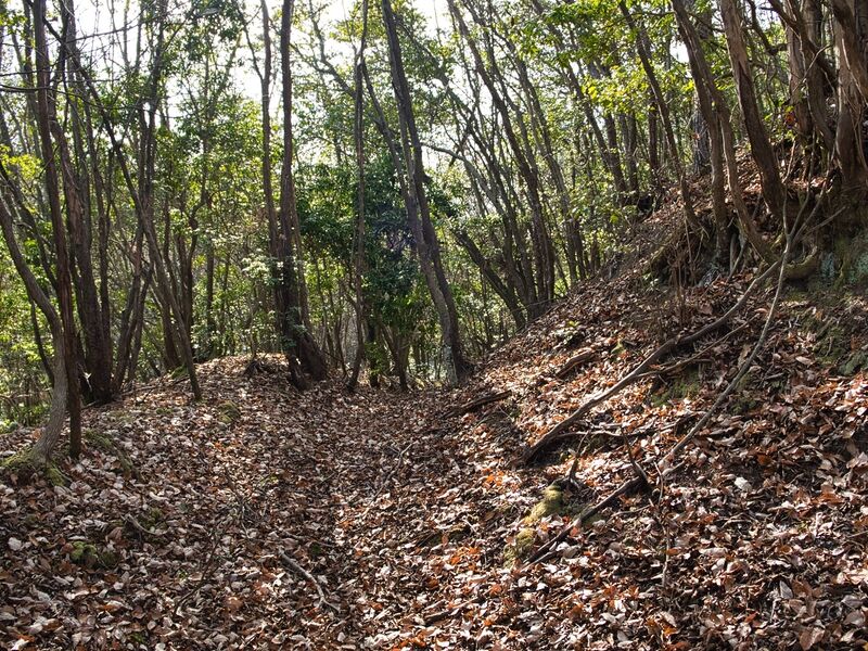 File:Inokurakyoto20.jpg