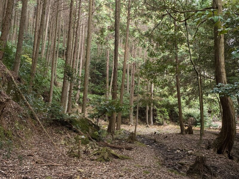 File:Kannosankyoto13.jpg