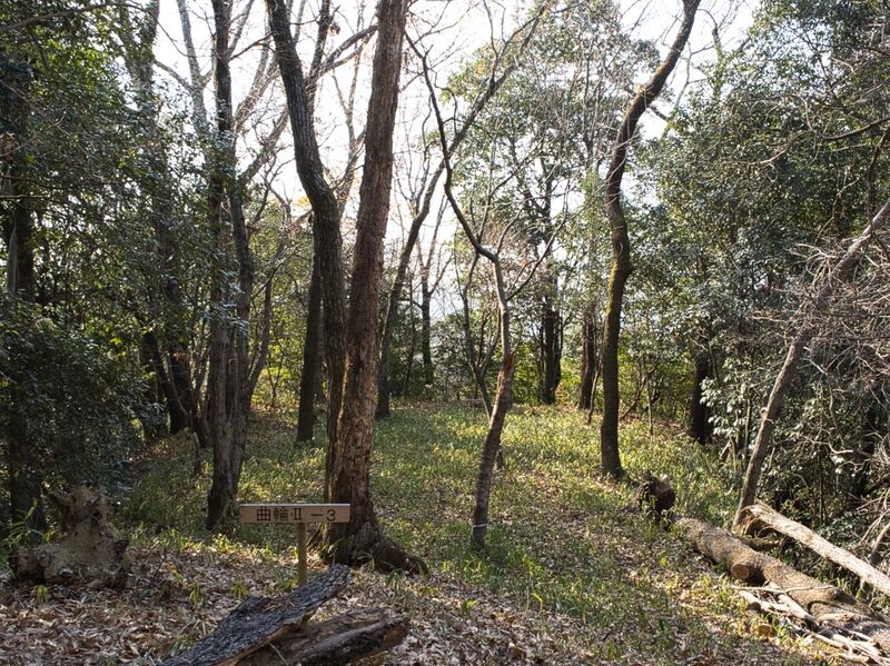 File:Kaseyamakyoto48.jpg