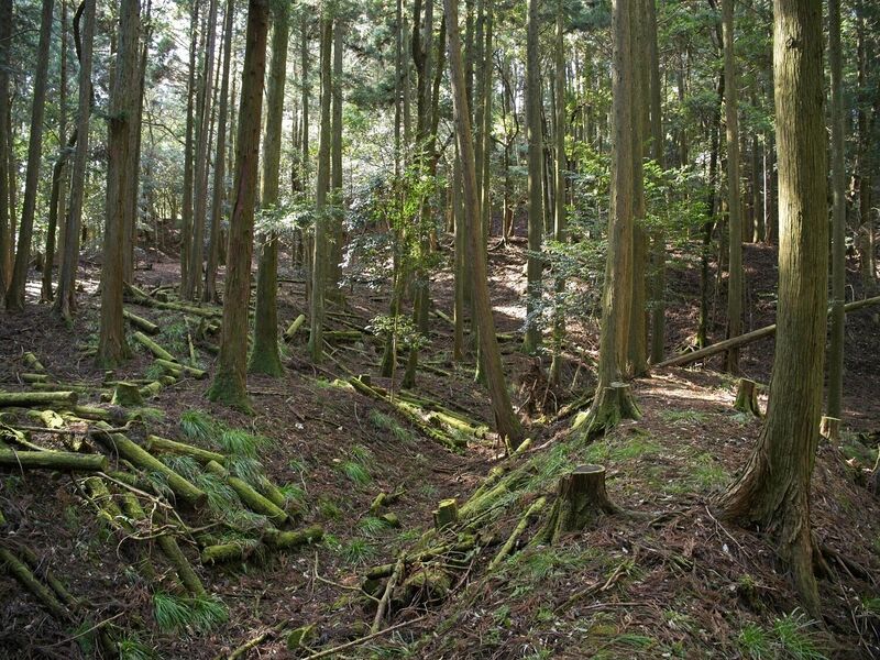File:Kurokawashi25.jpg