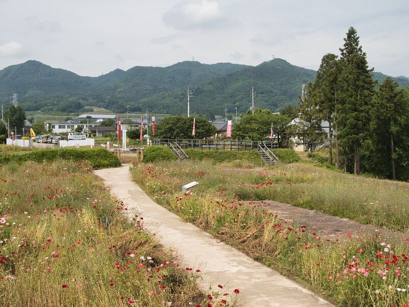 File:Nagurumi33.jpg