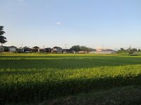 OhyamaSaku (2).JPG