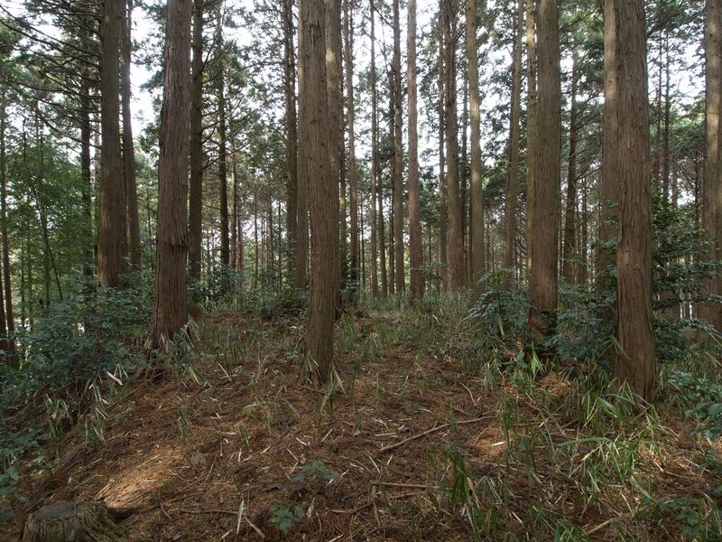 File:Wadakoka22.jpg