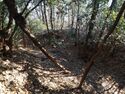 Yamana17.jpg
