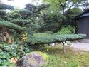 AkizukijouHisanoBukeyashiki (7).JPG