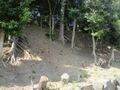 Thumbnail for version as of 14:21, 4 August 2024