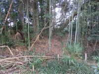 HigashiSakabejou002.jpg