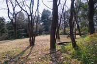 Isobe16.jpg