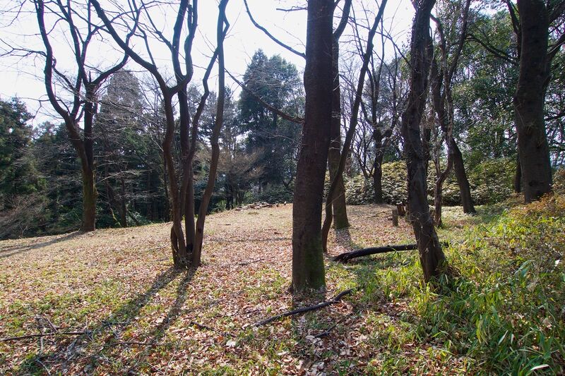 File:Isobe16.jpg