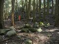 Thumbnail for version as of 06:57, 16 May 2023