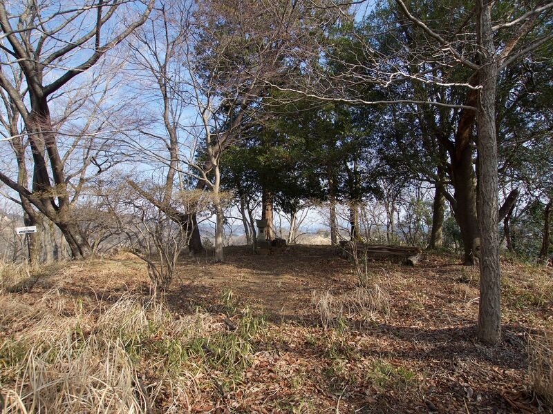 File:Manago20.jpg