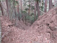 MarikoyamaToride (1).JPG
