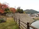 Mihara1.jpg
