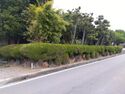 MikawaMiyachiYashiki (2).jpg
