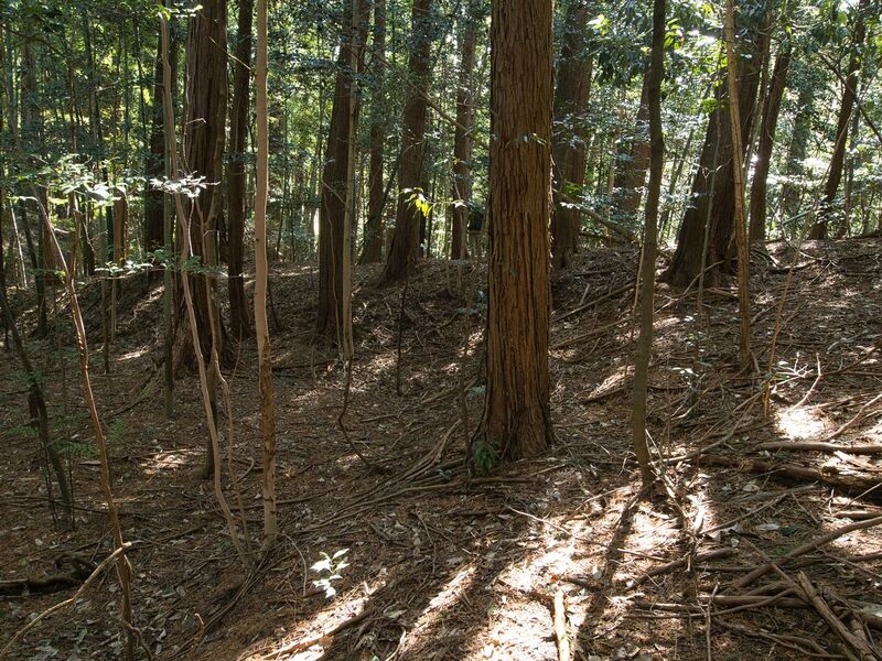 File:Mochizukishikoka6.jpg