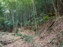 Okudanitanba22.jpg