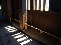 Osaka inuiyagura15.jpg