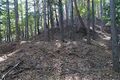 Thumbnail for version as of 13:24, 24 June 2017