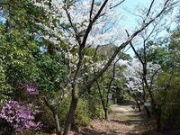 Ichinomiya11.jpg