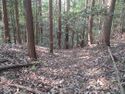 Oiwakehikagejou (4).jpg