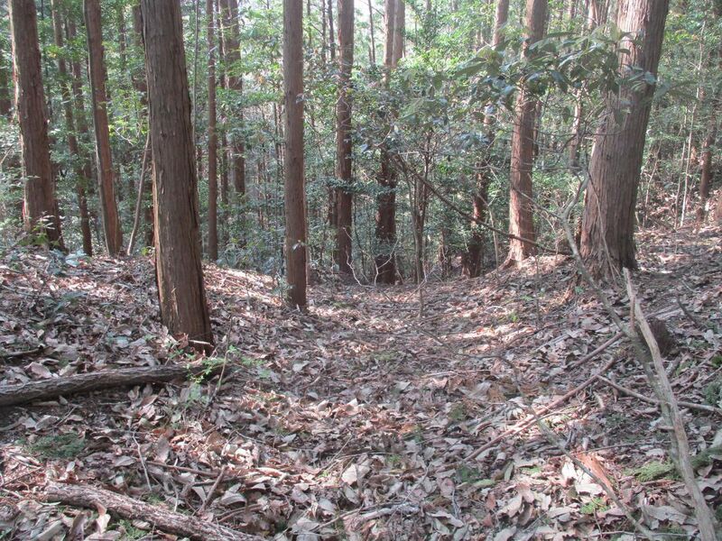 File:Oiwakehikagejou (4).jpg