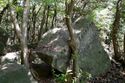 Ookawa quarry32.jpg