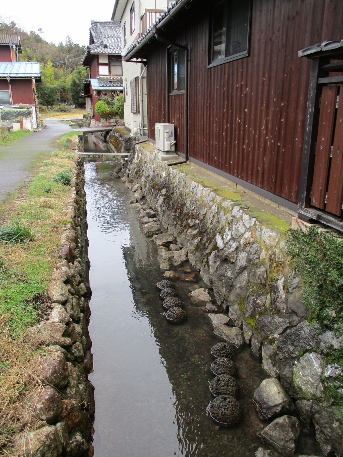 OumiNotosejou (1).JPG