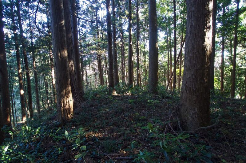 File:Takatome11.jpg