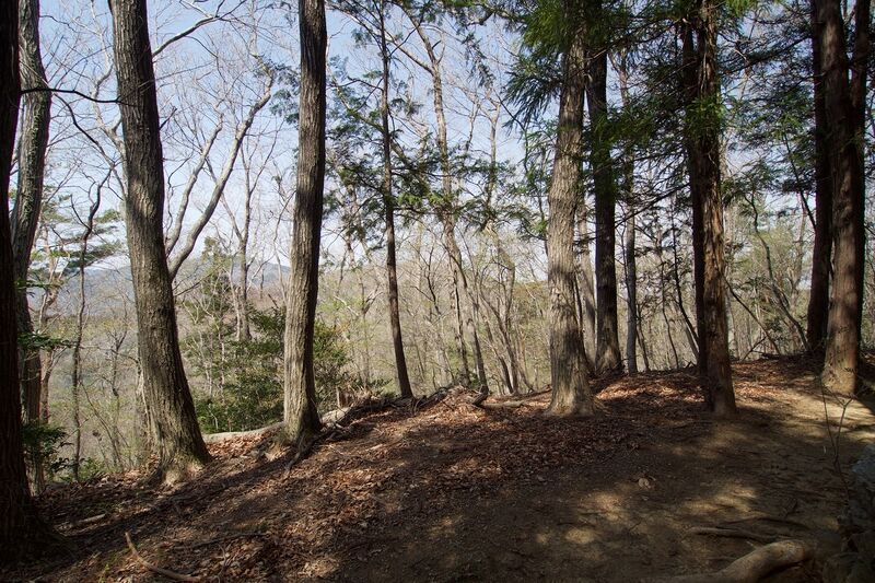 File:Hanazonomitake7.jpg