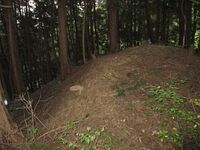 JikouinToride (3).JPG
