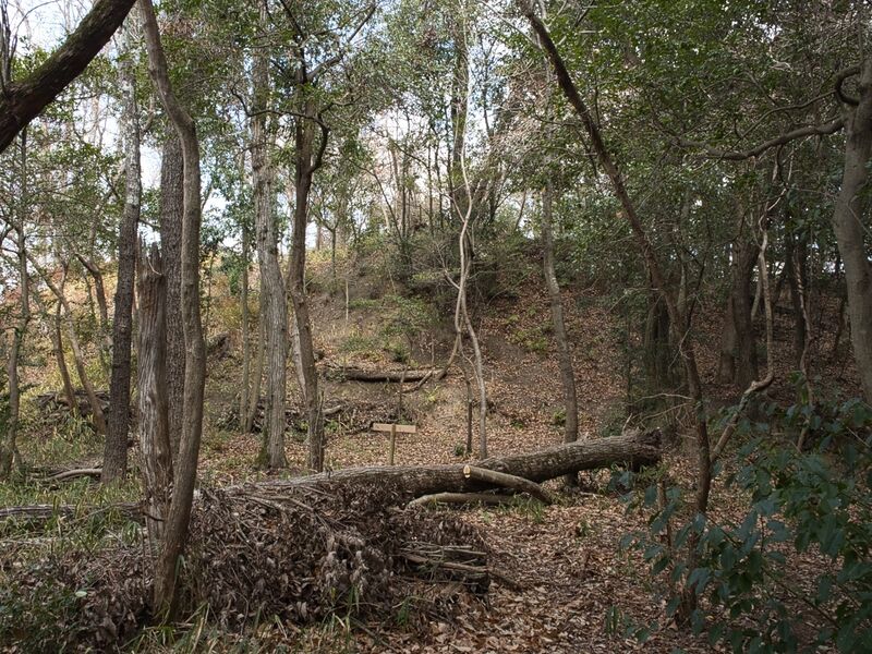 File:Kaseyamakyoto65.jpg