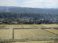 KoudaijiRui (3).JPG
