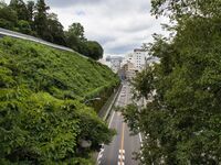 Mito11.jpg