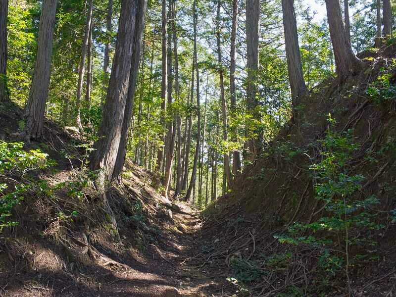File:Nogeyakata4.jpg