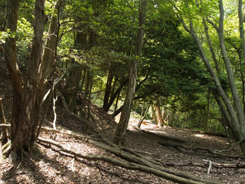 File:Nyoigatake27.jpg