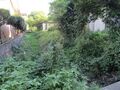 Thumbnail for version as of 14:15, 6 August 2022