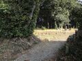 Thumbnail for version as of 22:15, 6 August 2024
