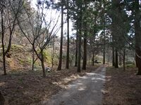 Tamaru2025 11.jpg