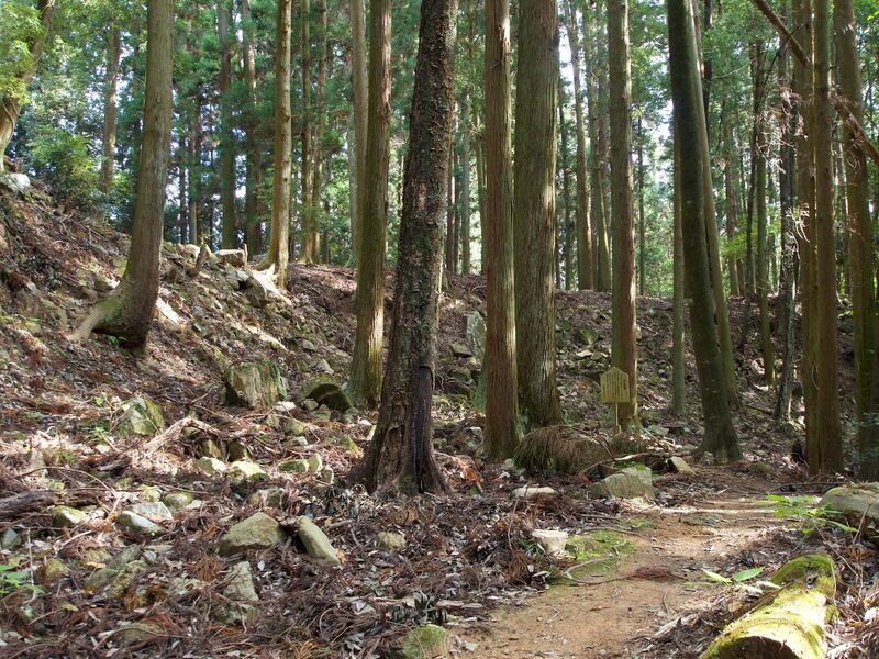 File:Yoshidakoriyama36.jpg