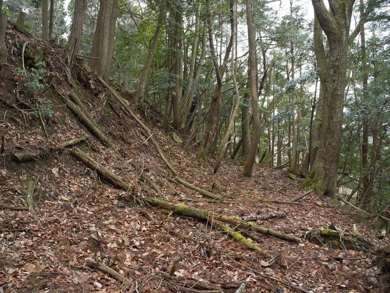 File:Goryu62.jpg