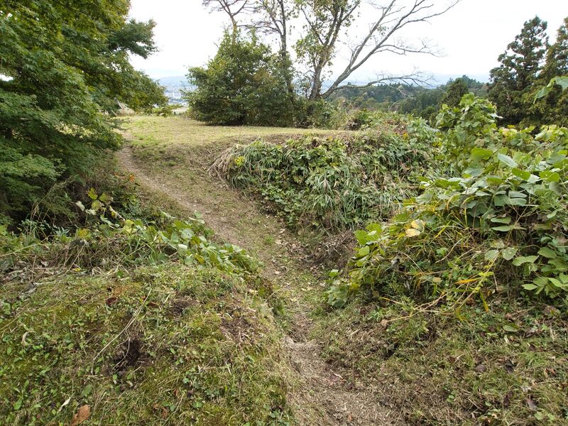 File:Iwakiri8.jpg