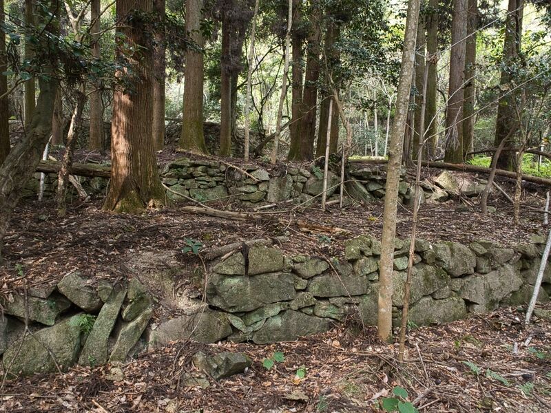 File:Kohyama7.jpg