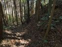 Kokashingushi8.jpg
