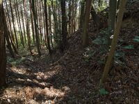 Kokashingushi8.jpg