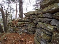 Matsuoko20.jpg