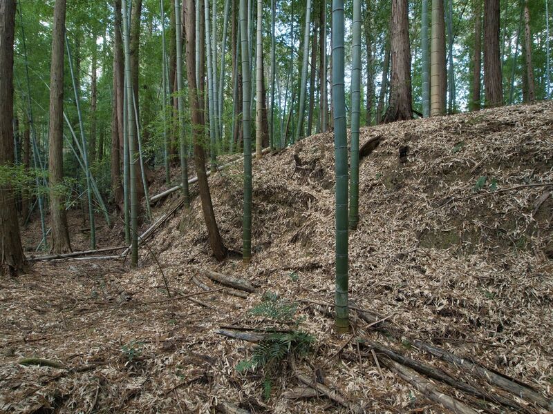 File:Mochizukishikoka26.jpg