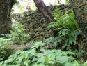 Nanzan Castle Ray 2.jpg